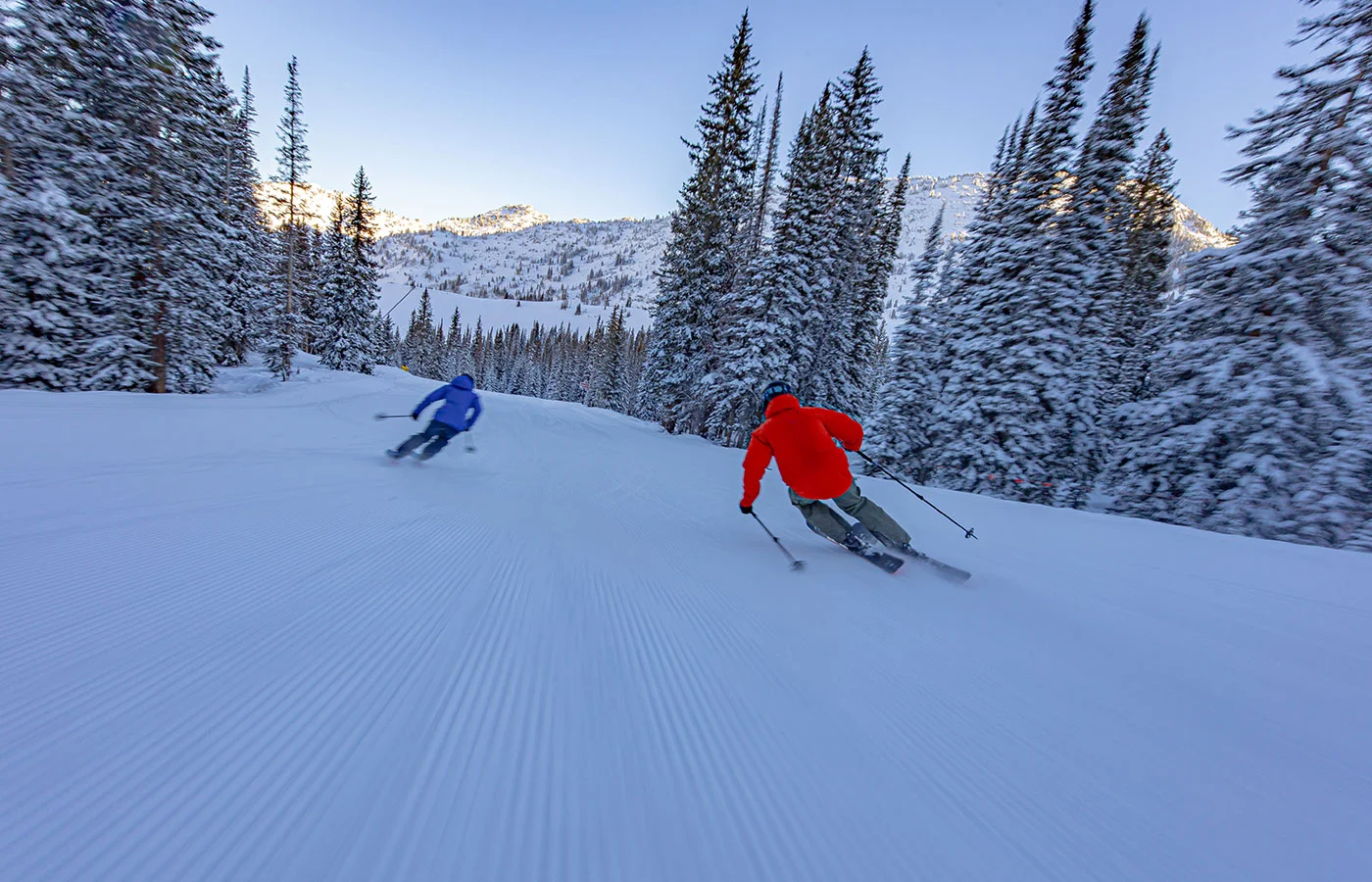 Zwei Skifahrer auf präparierter Piste zwischen verschneiten Bäumen